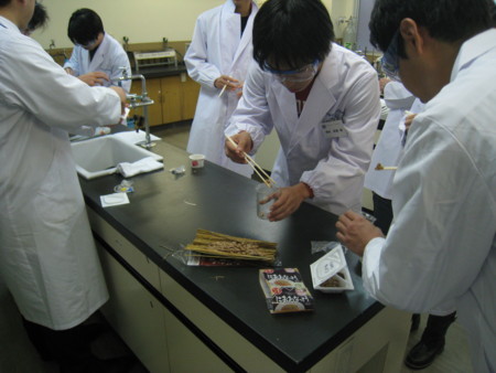 f:id:bunseki:20101120125022j:image
