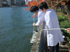 f:id:bunseki:20101127112653j:image