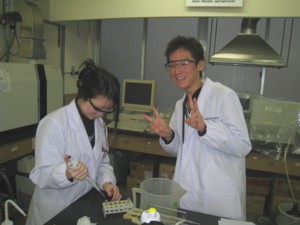 f:id:bunseki:20101202124417j:image