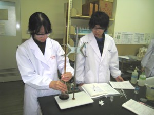 f:id:bunseki:20101202130418j:image