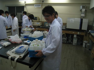 f:id:bunseki:20101203134332j:image