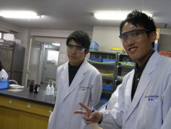 f:id:bunseki:20101206122934j:image