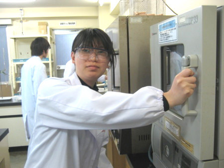 f:id:bunseki:20101217141346j:image