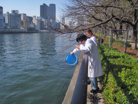 f:id:bunseki:20101219104153j:image