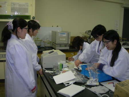 f:id:bunseki:20110111112619j:image
