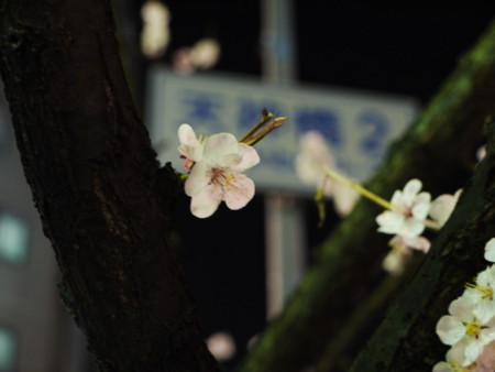 f:id:bunseki:20110314202220j:image