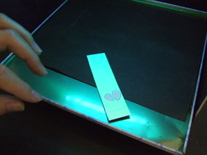 f:id:bunseki:20110329134219j:image