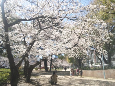 f:id:bunseki:20110404132556j:image