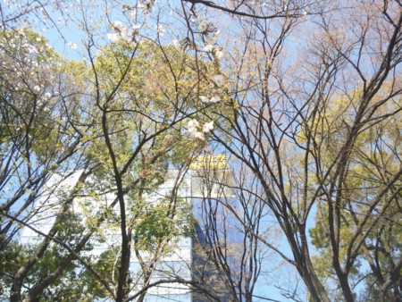 f:id:bunseki:20110404132703j:image