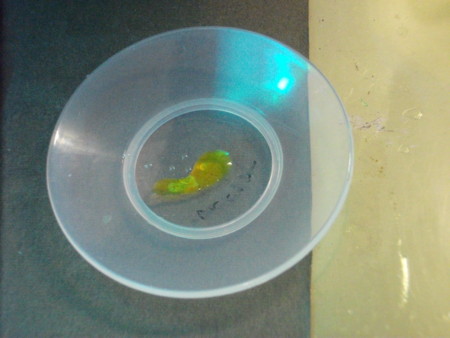 f:id:bunseki:20110419150436j:image