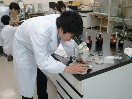 f:id:bunseki:20110426121653j:image