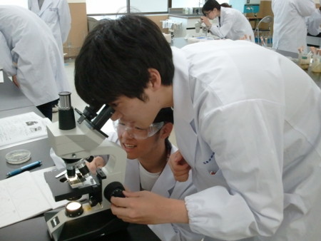 f:id:bunseki:20110426121732j:image