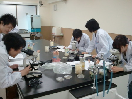 f:id:bunseki:20110426121842j:image
