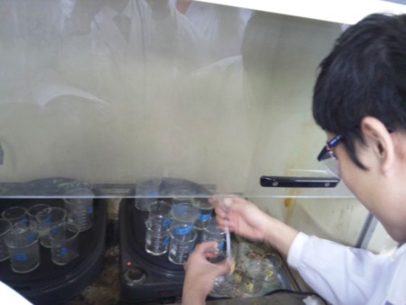 f:id:bunseki:20110502120034j:image