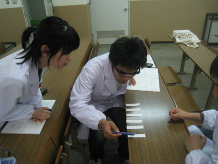 f:id:bunseki:20110508162747j:image