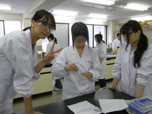 f:id:bunseki:20110603134052j:image