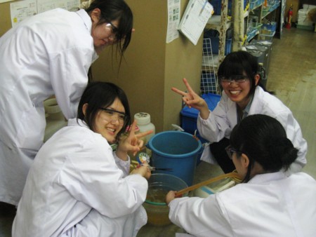 f:id:bunseki:20110613151328j:image,W250