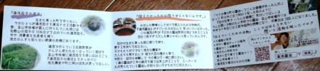 f:id:bunseki:20110621214715j:image