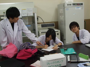 f:id:bunseki:20110710165741j:image
