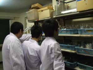 f:id:bunseki:20110805181219j:image