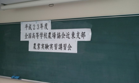 f:id:bunseki:20110808114718j:image