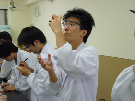 f:id:bunseki:20110901102319j:image:w360