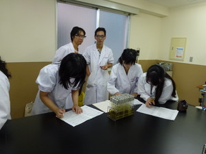 f:id:bunseki:20110902101356j:image