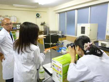 f:id:bunseki:20110904150334j:image