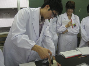 f:id:bunseki:20111017135733j:image