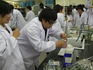 f:id:bunseki:20111108135614j:image