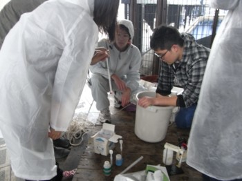 f:id:bunseki:20111119095717j:image