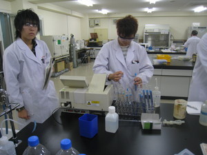 f:id:bunseki:20111128155516j:image