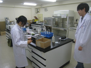 f:id:bunseki:20111128160420j:image