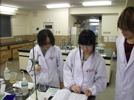 f:id:bunseki:20111202124133j:image