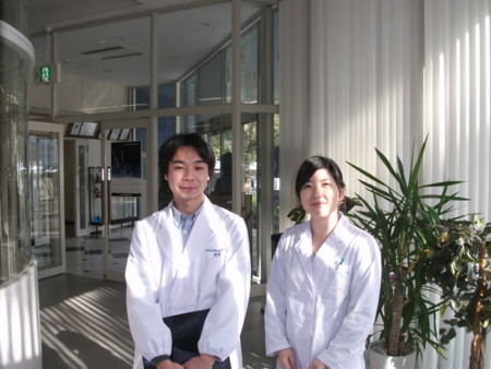 f:id:bunseki:20120106141250j:image
