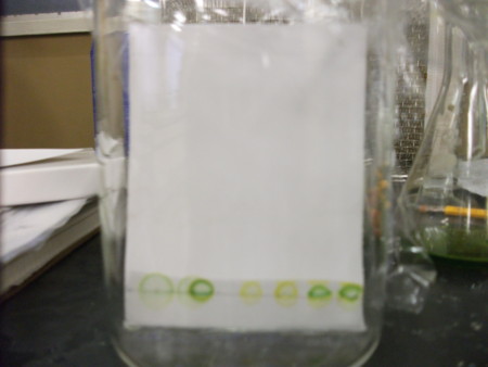 f:id:bunseki:20120224155004j:image