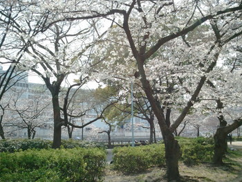 f:id:bunseki:20120405133558j:image