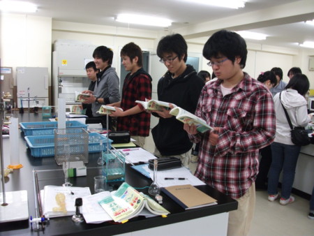 f:id:bunseki:20120420161837j:image