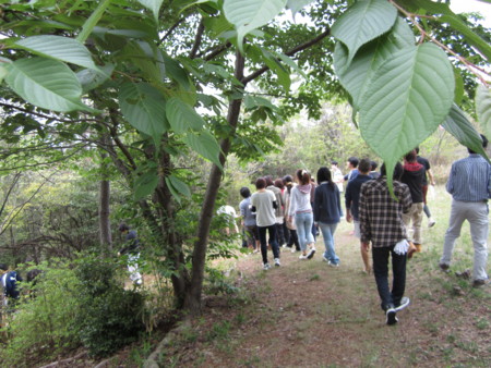 f:id:bunseki:20120424135231j:image:w360