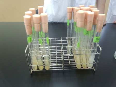 f:id:bunseki:20120427124931j:image:w640