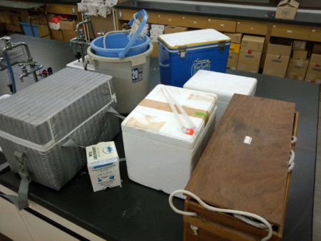 f:id:bunseki:20120510185841j:image