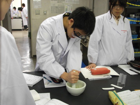 f:id:bunseki:20120521140718j:image