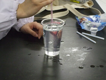 f:id:bunseki:20120531074626j:image