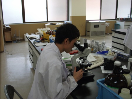 f:id:bunseki:20120531233241j:image
