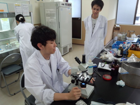 f:id:bunseki:20120605062611j:image