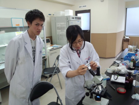 f:id:bunseki:20120605062624j:image