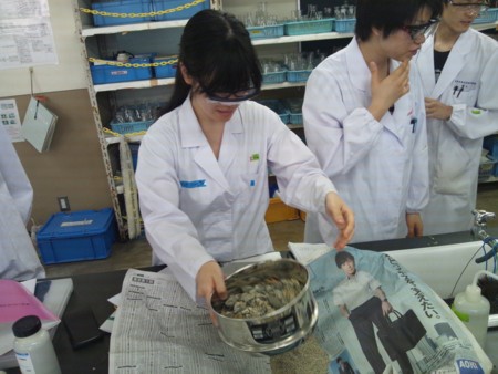 f:id:bunseki:20120619001533j:image:w360