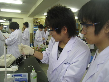 f:id:bunseki:20120620073742j:image