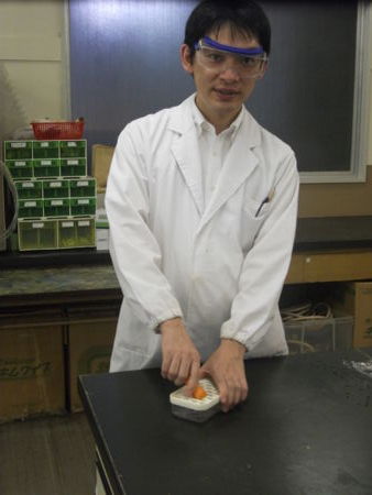 f:id:bunseki:20120802203150j:image
