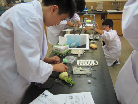 f:id:bunseki:20120810065538j:image
